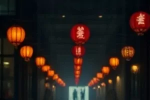 《海边旧书店》治愈片封面，临海木屋与成排书架